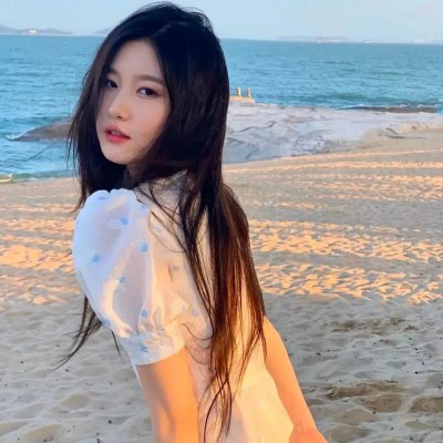 黑狐：希特勒